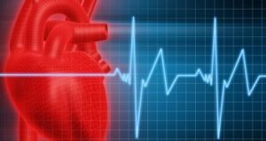 human heart with cardiogram